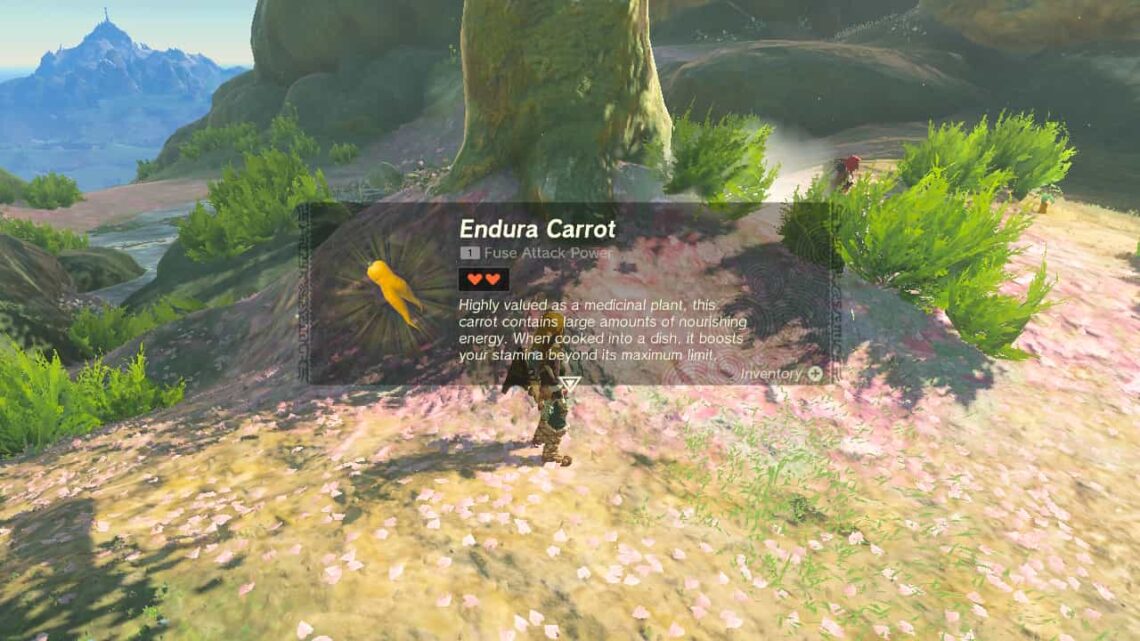Como obter Endura Carrots em Zelda Tears of the Kingdom (TOTK)